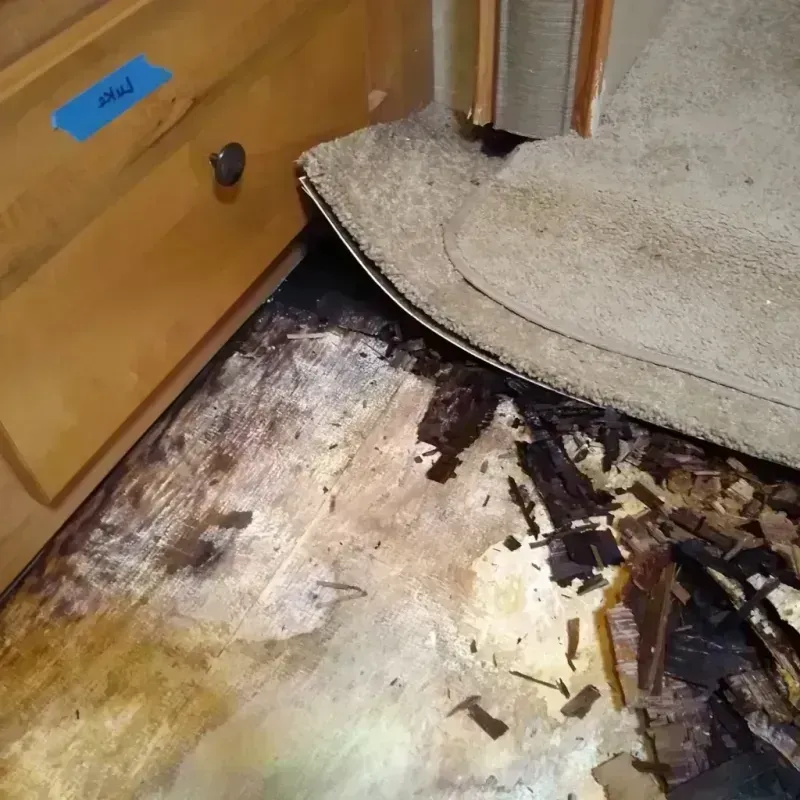 Best Wood Floor Water Damage Service in Panama City Beach, FL